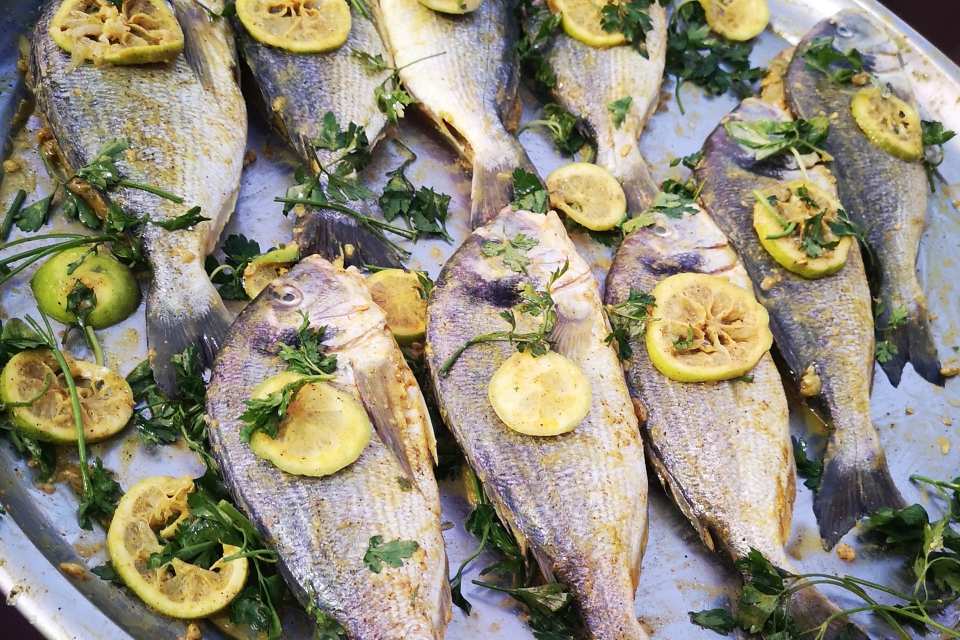 BELLANs Seafood-Menü » BELLAN Catering BELLANs Seafood-Menü » BELLAN Catering